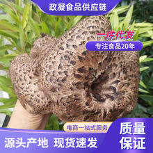 源头一件代发黑虎掌菌干货 云南特产黑虎掌酒店煲汤食用黑虎掌