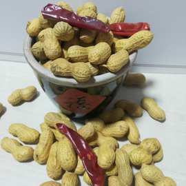 代发新品怪味花生多味熟花生炒货带核新货红衣下酒菜休闲零食批发