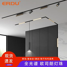 LED轨道灯;磁吸轨道灯;射灯