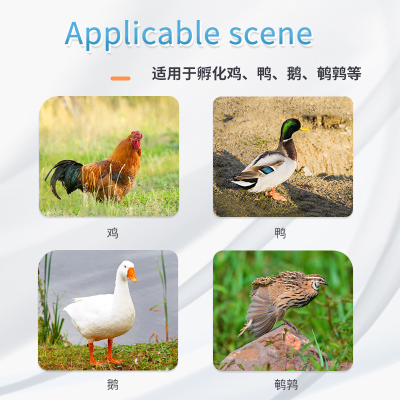 Nuevo XM-18SD incubadora termostato inteligente equipo de incubación controlador automático sistema de control de incubación