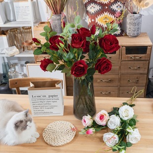 һ����}���^�q��õ�� ���滨�b�c��Ʒ�ٻ���ˇƷ���lMW03333