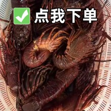 冰鲜红龙活冻大龙虾澳龙可刺身红龙鲜活西澳红龙0.9-1斤一只海鲜