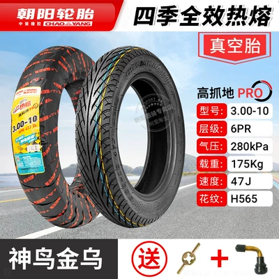 Vehicle Battery Vehicle Vacuum Tire, Non-industrial tires - 300-10-chaoyang-6-layer-four-seasons-full-effect-hot-melt-tubeless-tire-1-year-warranty