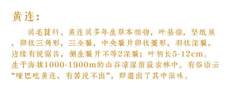 Dried Coptis Slices Huang Lian 500g Traditional Chinese Herb for Decoction and Herbal Tea overview