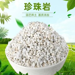 园艺珍珠岩养花用轻质颗粒绿植花卉育苗兰花拌土多肉基质