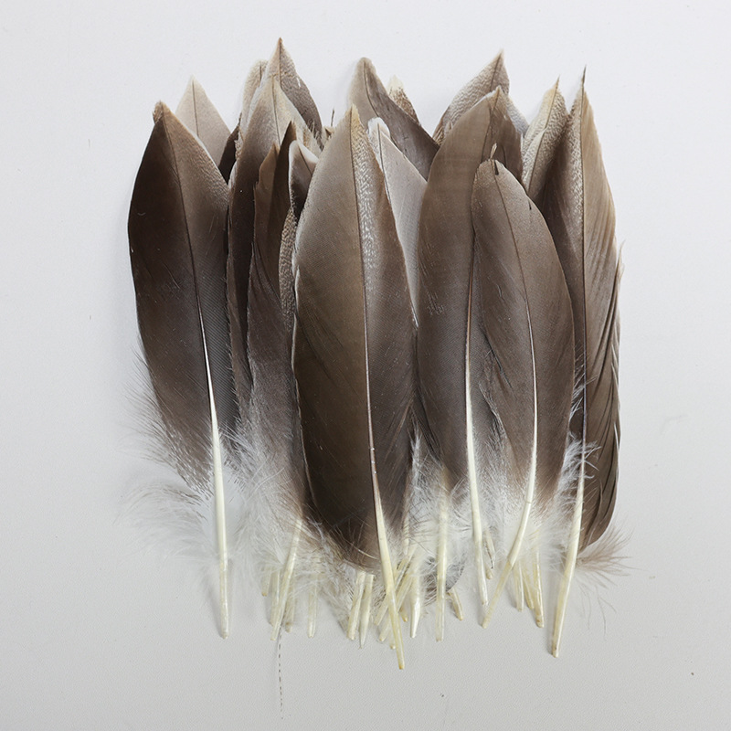 Fábrica al por mayor de bricolaje plumas pequeñas plumas naturales plumas de pollo salvaje plumas de pato jardín de infantes joyas hechas a mano gato divertido material de captura de sueños