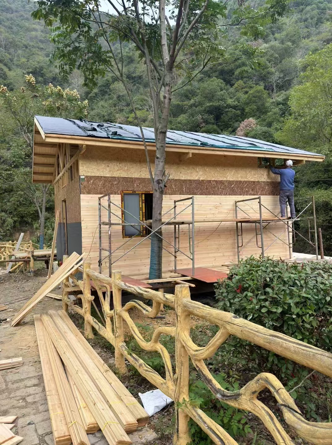 微信图片_20250121152635