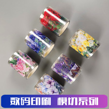 ���aӡˢ��ģϵ�� PETֲ�ﻨ�����~�ز��N���b�ƴ�N�֎��z��