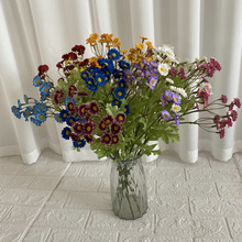 �Lֻ���m��2̖���滨��С�r�ս����ٻ� ��@�Ҿӻ�c�b���ʾ�