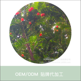 �A���Έ@�־G�������Gɫϵ�t��ɼ�� ���~��1-20���ִּt��ɼ