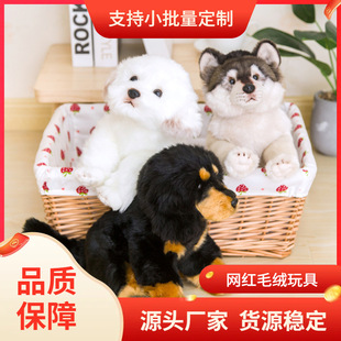 ���R�d�ɐ�ë�q��߹����з��沼����С����С̖��ͯŮ����ż�Y��