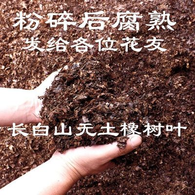 草炭土腐熟無土橡樹葉君子蘭專用腐土腐熟松針蘭花專用有機營養土