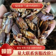 ���l��ș���������С����͵���Ÿɲ����x���xɢ�b���x���ș��