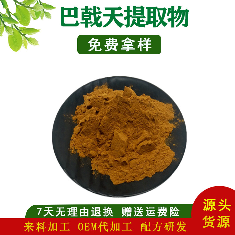 巴戟天提取物 10:1 20:1 30:1 巴戟天皂甙80% 厂家供应 欢迎订购