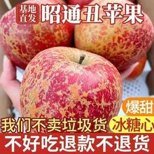 云南昭通丑苹果冰糖心新鲜水果当季红富士脆甜孕妇小孩食用独立站