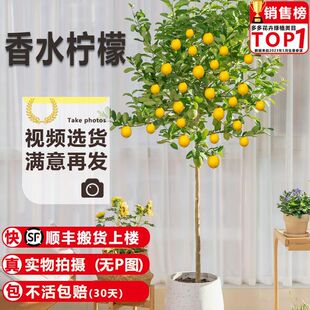 ��ˮ���ʘ����Դ��;Gֲ�͏d�̨�ļ��ߙn��ʳ���҃�ͥԺ�����͟�