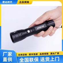 LUYOR-3160ɹz©Ͳ LUYOR-3160T2ɹz©x