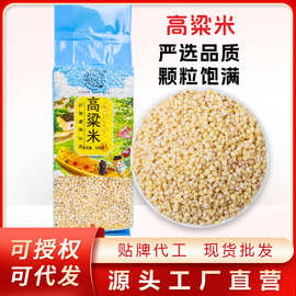 程山口高粱米白高梁米食用粗粮新米脱壳高粮米酿酒高粱真空500g