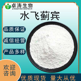 水飞蓟宾98%水飞蓟提取物双宾水飞蓟素卓涛生物现货批发水飞蓟宾