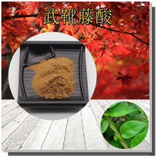 ��ѥ����25%������ѥ����ȡ��֧�֙z�y1kg�����׸�������ȡ��