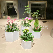 ���P���߅�λ����̈��Ƶ�M��ʽ��ߴ���[����