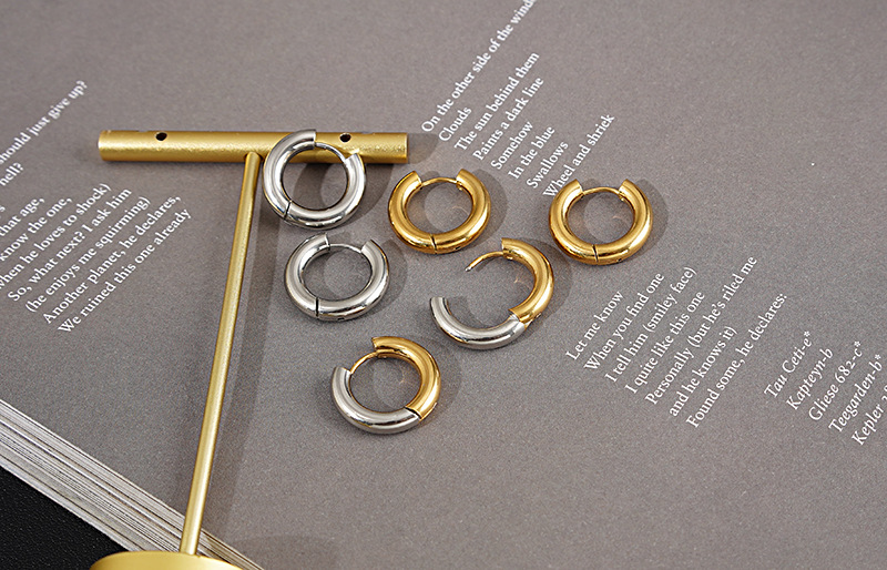 Ins Style Geometric Titanium Steel Plating No Inlaid Earrings display picture 3