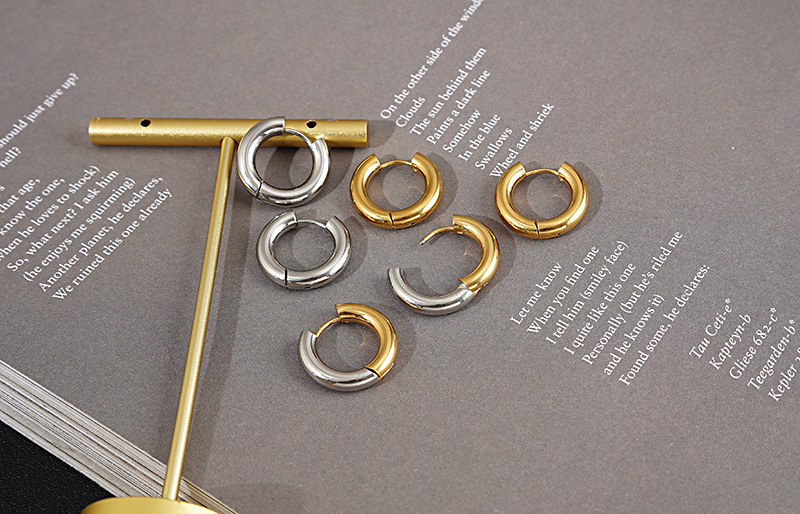 Titanium Steel Material Geometric Pattern Ins Style Geometric Titanium Steel Plating No Inlaid Earrings