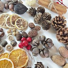 ?ɹľƬ~ɻɹxײ ׃@bС[ ͹յ