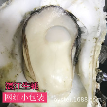 С���һ��һ��10��տ����򺺣�rˮ�aСֻĵϠ������r��ֱ�_