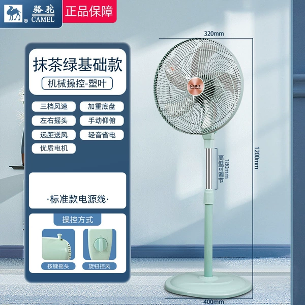 Matcha green mechanical model leaf plastic standard line