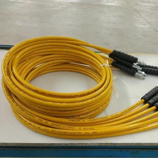 Physical Factory Ultra-High Pressure Nylon Resin Braided Winding Oil and Liquid Air Pressure Measuring Tube