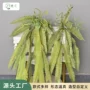 仿真婚庆手感挂壁背景墙