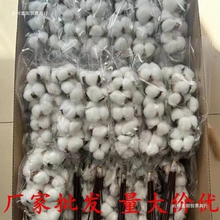 �޻��ɻ��������}�Q�b����޻��廨���յ���ľ��