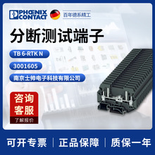 �� �����˹ �P�� �֔��yԇ���� TB 6-RTK N 3001605 phoenix