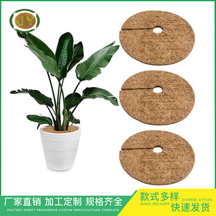 ��ȻҬ��ֲ�ﱣˮ���L��Ҭ�ؽzƽ��|����׿׷�©���|���бP