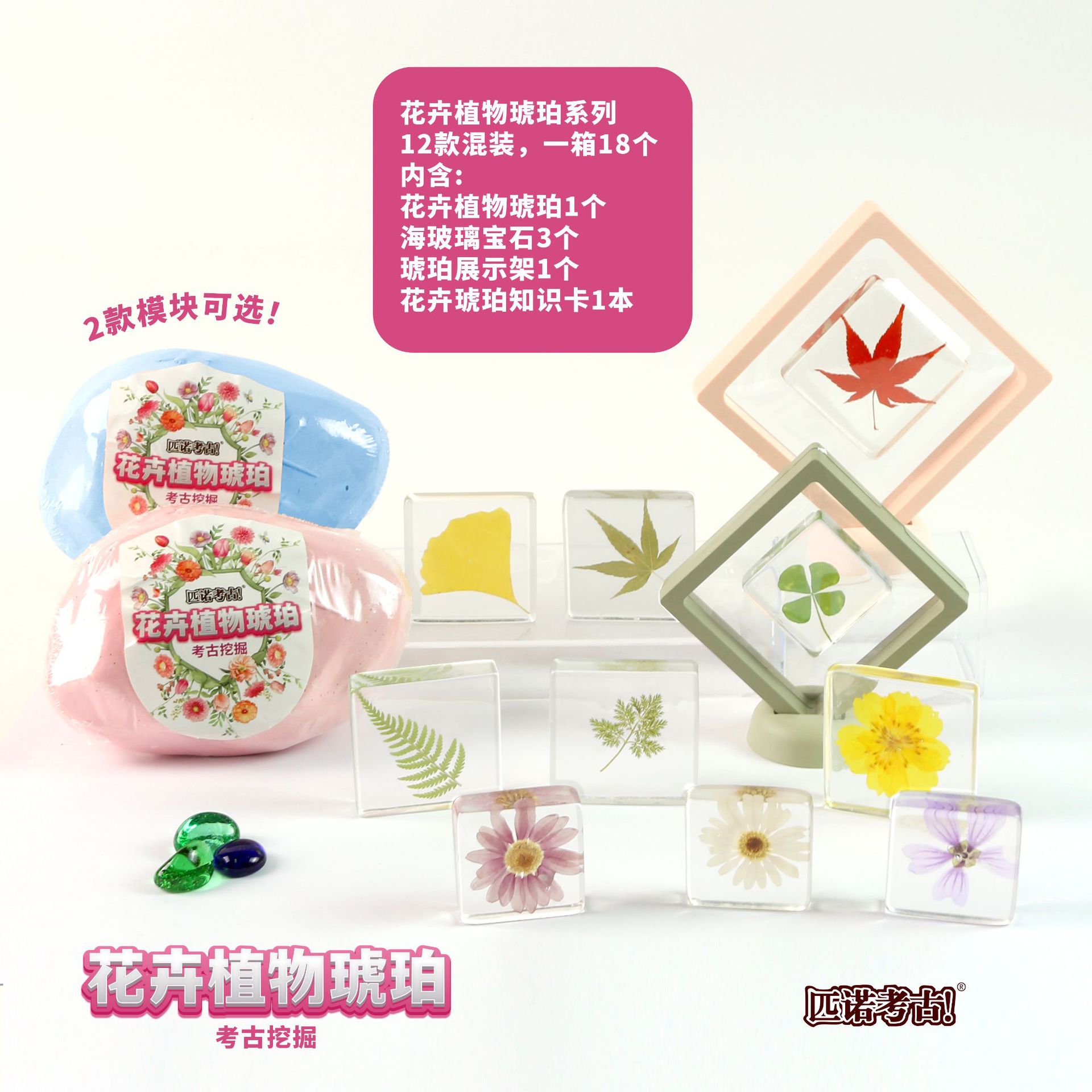 P157-18-Full 박스 라이브 에디션 대형 꽃 식물 앰버