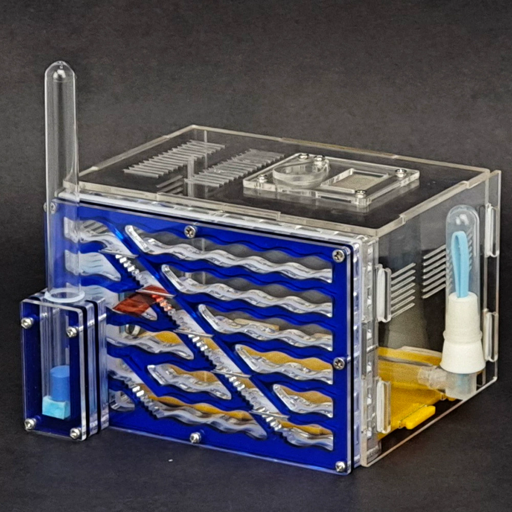 Акриловый замок муравей Мастерская домашнее животное муравейник гнездо муравей домашнее племя муравейник гнездо