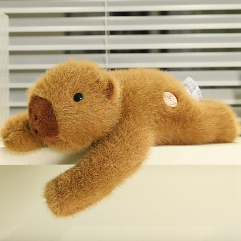 카피바라 카피바라