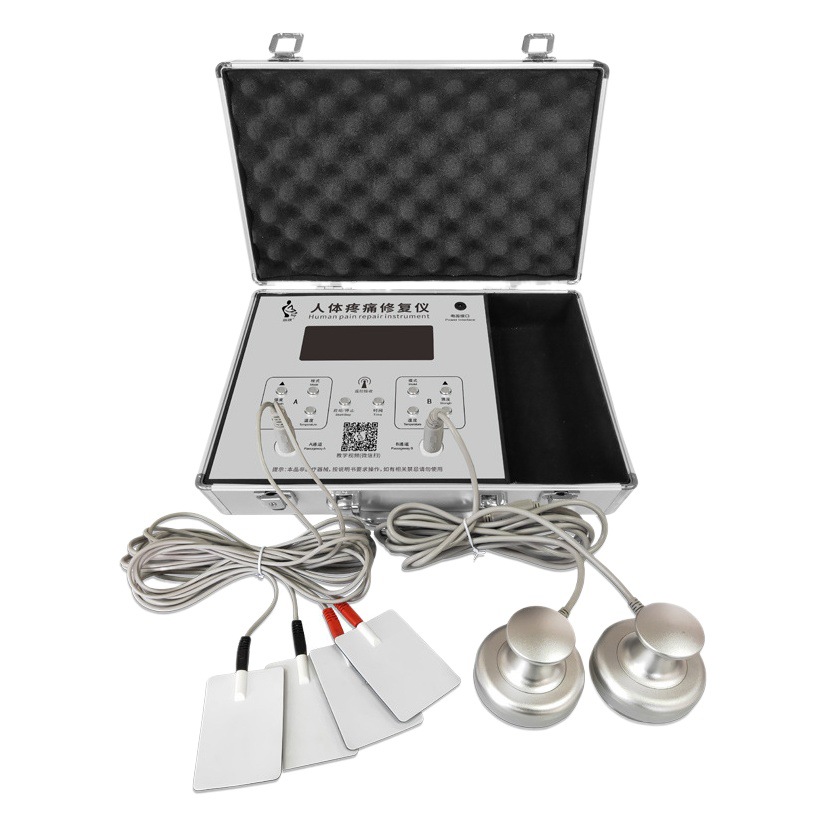 Fisioterapia bioeléctrica Meridian electroterapia instrumento moxibustión guía tee maestro a través del mundo control remoto DDS bioelectroterapia instrumento