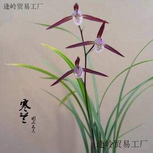 ���~���m�m���罨�mī�m��ޥ�m�ļ��m�̨�͏d�k���ҾGֲ����