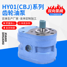 HY01型齿轮泵 CBJ齿轮油泵 磨床液压齿轮泵 双向齿轮泵 低压齿轮