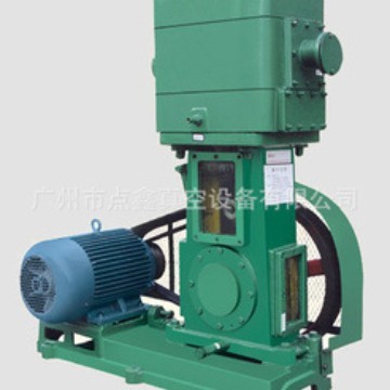 2WLW-200往复式高真空泵 真空蒸馏真空干燥 厂家直销