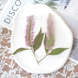 干花;贺卡;永生花