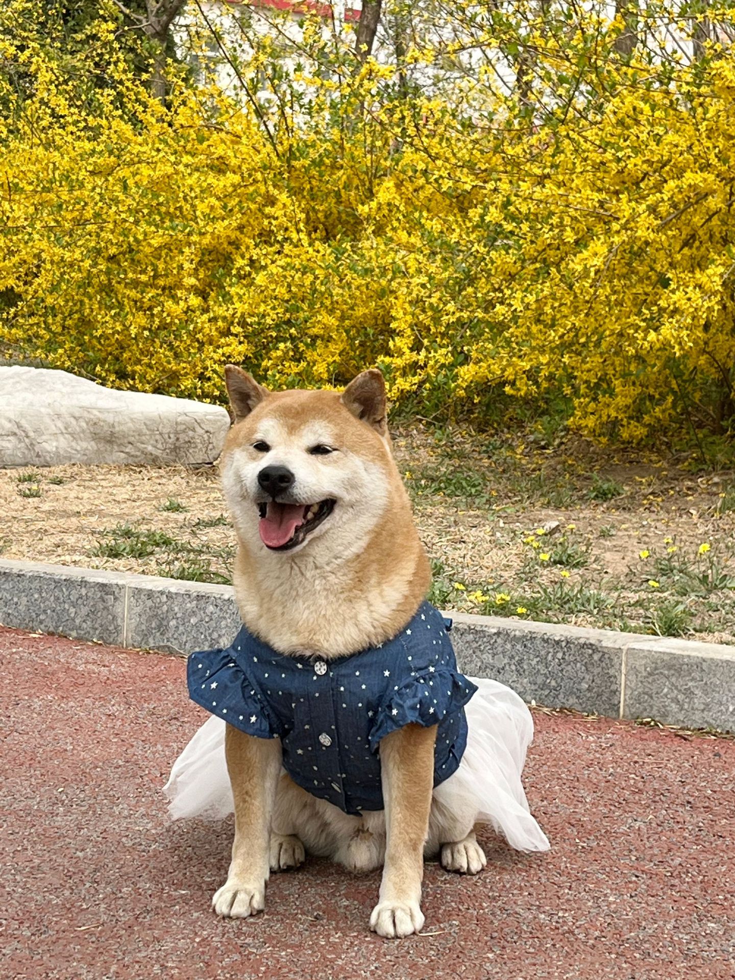 微信图片_20230413195435.jpg