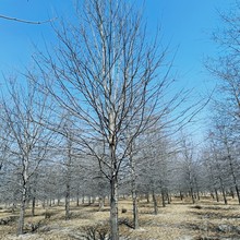 ���Ի��ع��� �����t���� ���^�G���������t�����̘�t�� ������