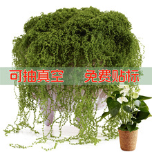 ����̦�\����΢���^�[����̦�辰�����b��쾰�ٽz��ë��̦�\