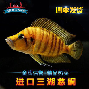 ��ϵ�M�������������w ̹�� �S���~ �ڇ��� �ׇ��� �S���� ���w