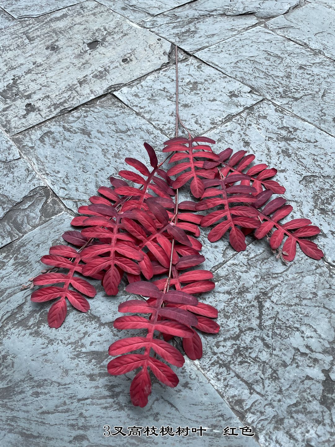 微信图片_20210714132222_副本.jpg