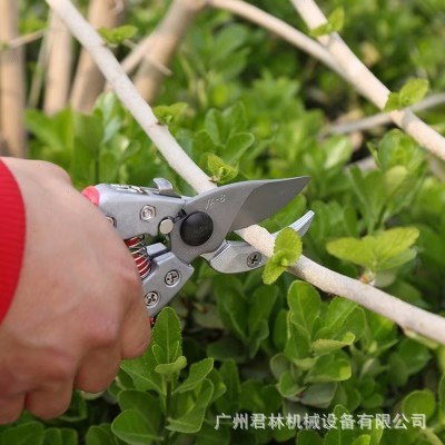 爱丽斯VA-7Z/8Z剪刀修枝剪家用新款进口果树粗枝剪省力园艺修枝剪