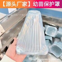 �S�����l���籣�o�ּӺ�����ֲ���R�ִ������˪�����x����������